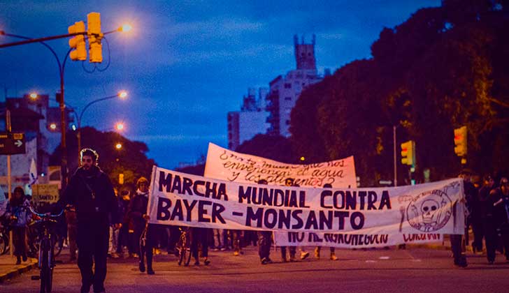 "Fuera Monsanto de América Latina", se realizó este sábado la Marcha contra Monsanto. Foto: LARED21