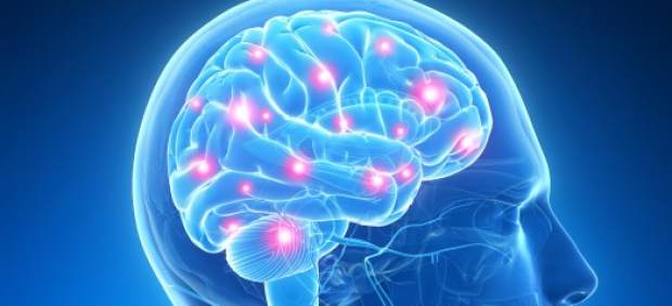 cerebro