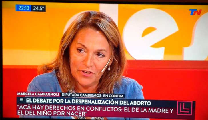 "Sacar el feto y ponerlo en una incubadora para darlo en adopción", la propuesta de una diputada argentina contra el aborto.