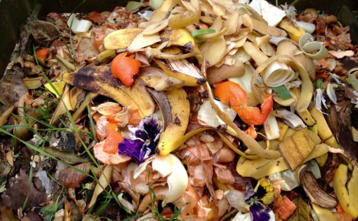 Fotografía con fines meramente ilustrativos. Cortesía de foodmanufacture.co.uk