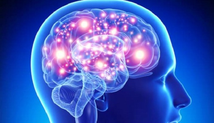 El cerebro humano se actualiza para acostumbrarse a lo inesperado.