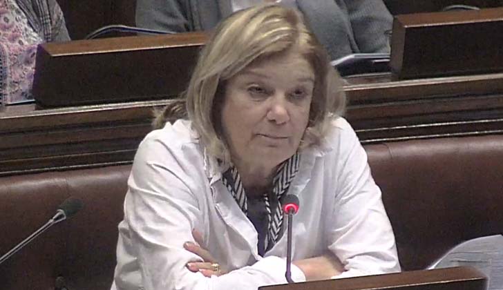 Ministra de Vivienda, Ordenamiento Territorial y Medio Ambiente, Eneida de León. 
