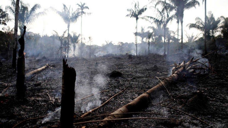 Bolsonaro culpa a las ONG por los incendios fuera de control en la Amazonia.