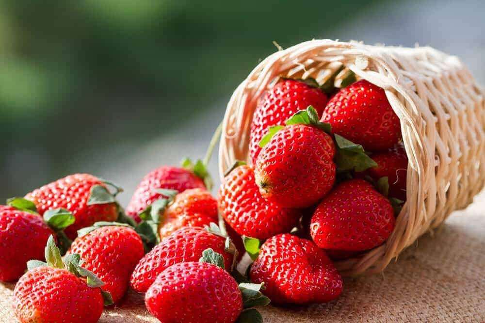 frutillasanacorazon