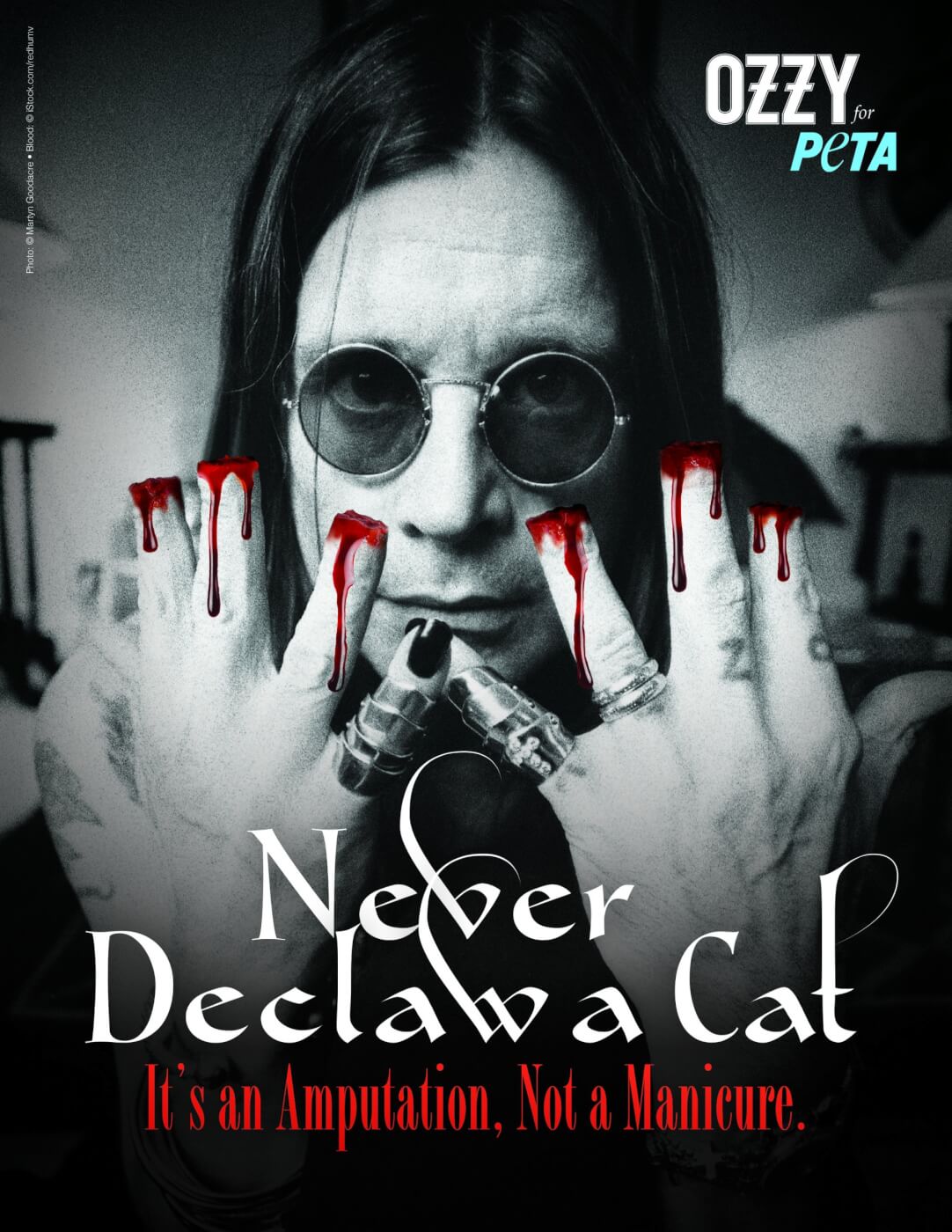 Ozzy-Osbourne-PETA-Declawing-Ad-scaled