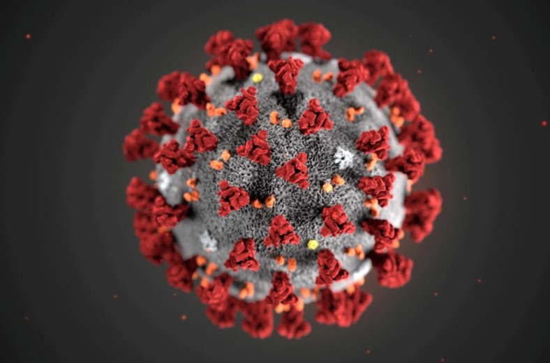 Imagen 3D del coronavirus COVID-19. Cortesía de CDC