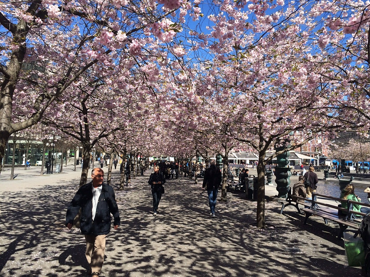 Una populosa calle en el centro de Estocolmo, capital de Suecia, durante la primavera. Foto: Pixabay