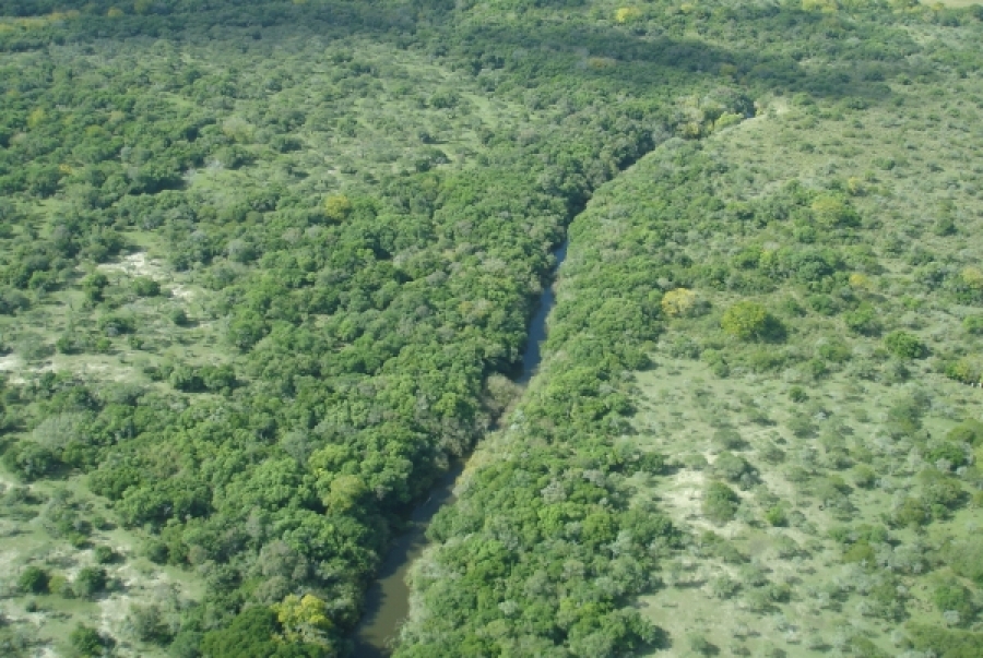 Área de manejo de hábitats y/o especies Esteros y Algarrobales del Río Uruguay (Río Negro). Foto: SNAP