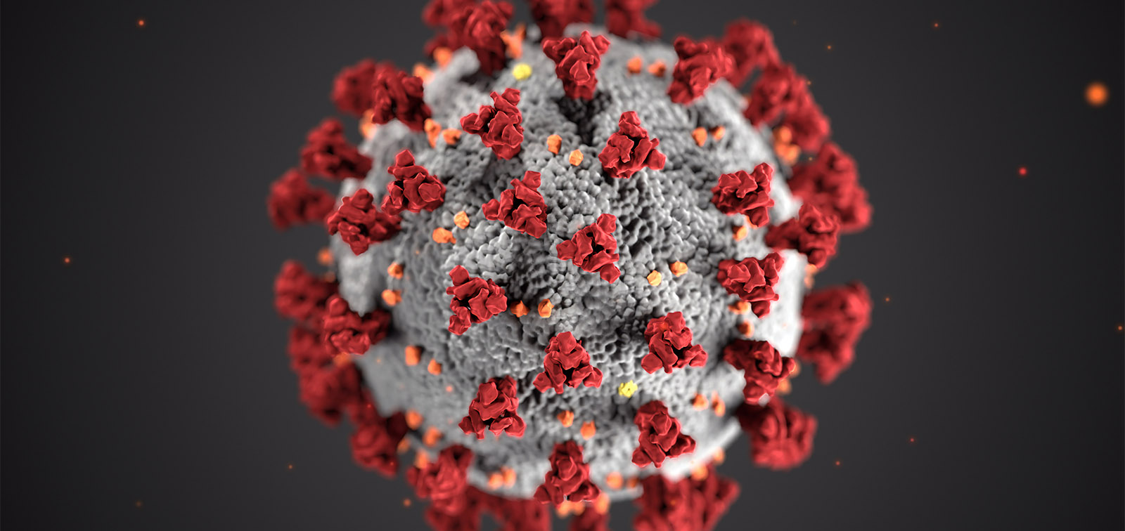 Coronavirus SARS-CoV-2 de CDC en Unsplash