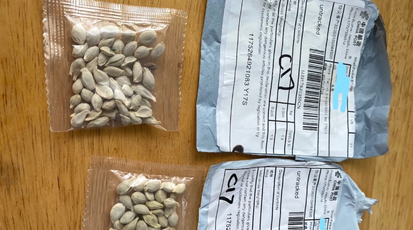 Paquetes de semillas reportadas en el estado de Washington