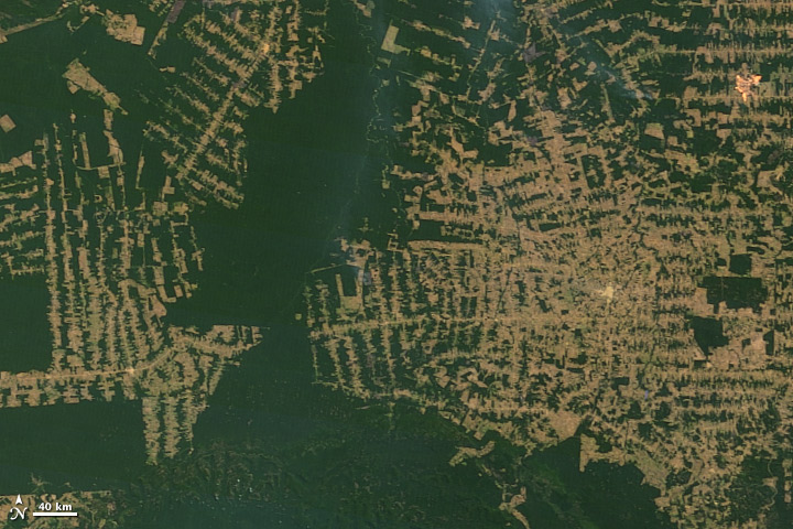 Deforestación en la amazonia brasileña fotografiada desde el aire. Foto: Wikimedia Commons