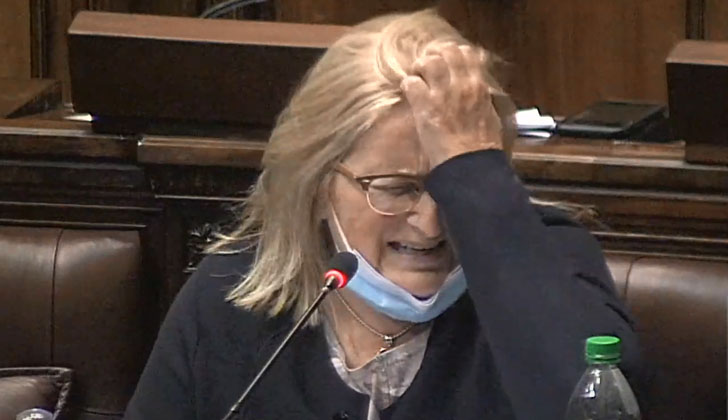 Photo: Screenshot / streaming of Parliament