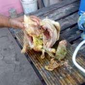 President of the NGO 'Uruguay Adelante' receives a salary from 2021, although it is prohibited by law President of the NGO 'Uruguay Adelante' receives a salary from 2021, although it is prohibited by law