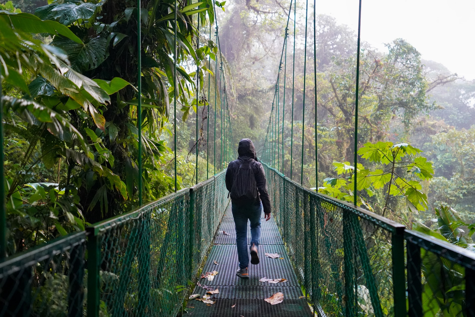 Una turista cruza un puente colgante en medio de un bosque nuboso de La Fortuna de San Carlos, en la provincia costarricense de Alajuela. Foto: UNsplash / Amill Santiago