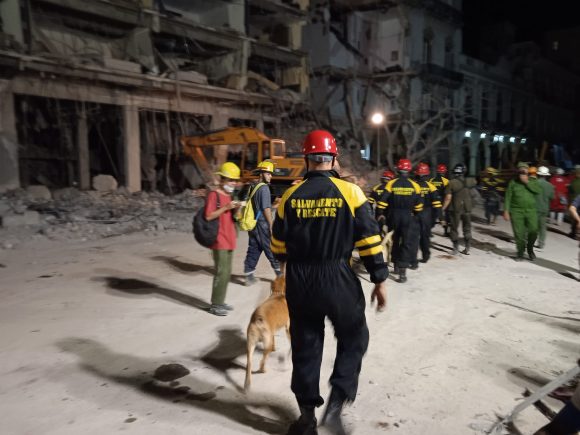 La brigada canina trabaja en el rescate tras explosión en el hotel Saratoga. Foto: Dairon Caballero en su perfil de Facebook.