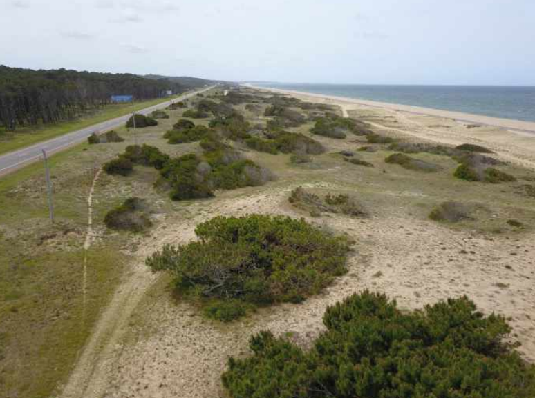 Estas dunas serían destruidas si se construye el complejo de lujo. Foto: Ministerio de Ambiente