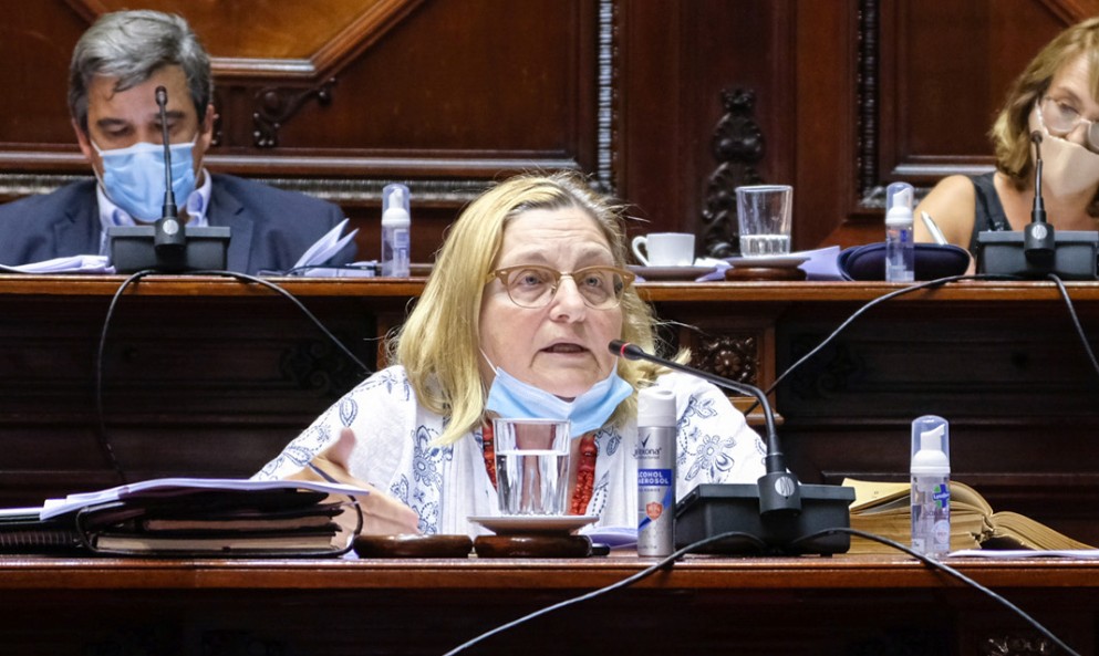 Bianchi assures that the Astesiano case is "a novel" of the opposition, in intersection with Caggiani Stock Photo: Chamber of Senators