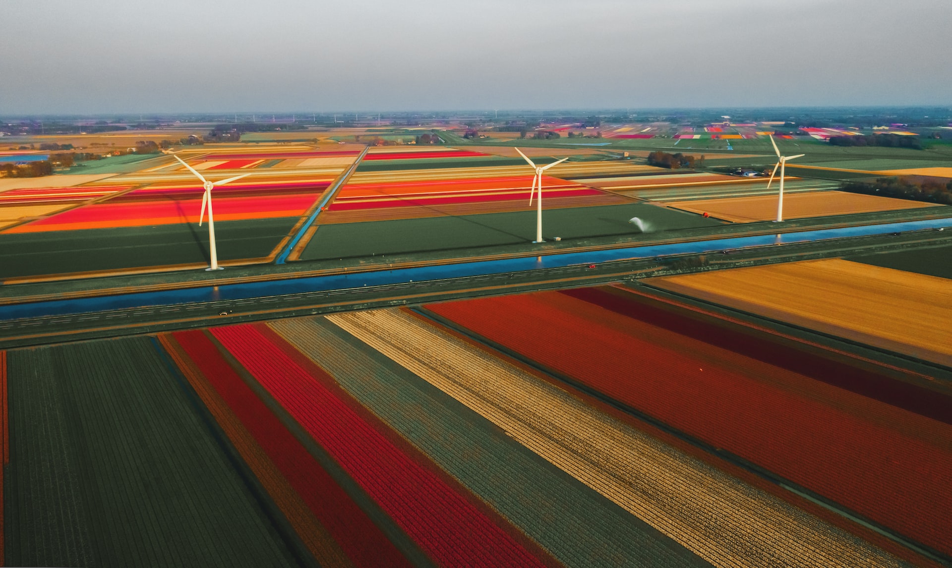 Turbinas eólicas en Callantsoog, un pueblo en la provincia neerlandesa de Holanda Septentrional.