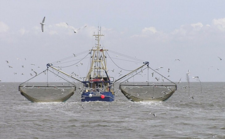 pesca-ilegal-america-del-sur