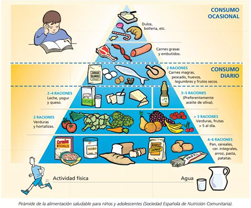 Imagen de Sociedad Española de Nutrición Comunitaria.