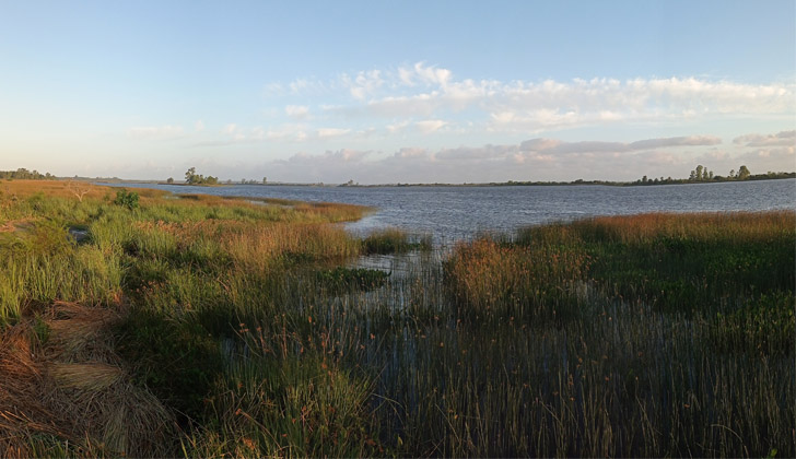 Río Santa Lucía, principal toma de agua para potabilización que abastece Montevideo y Ciudad de la Costa. 