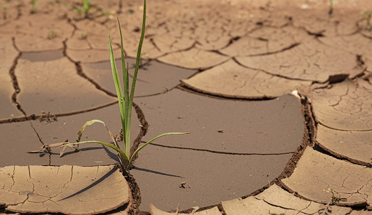 El calentamiento global es responsable de las actuales sequías en todo el mundo. 