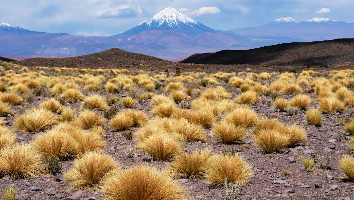 La cordillera de los Andes está en peligro por el cambio climático. 