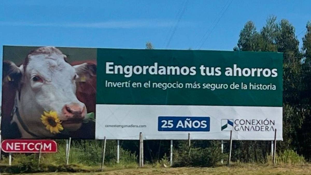 Informe de Senaclaft detecta compleja red patrimonial en caso Conexión ...