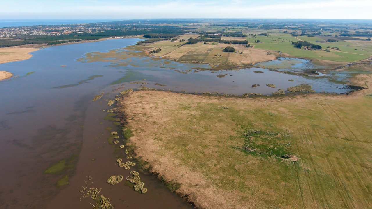 Laguna del Cisne (Foto: Intendencia de Canelones)