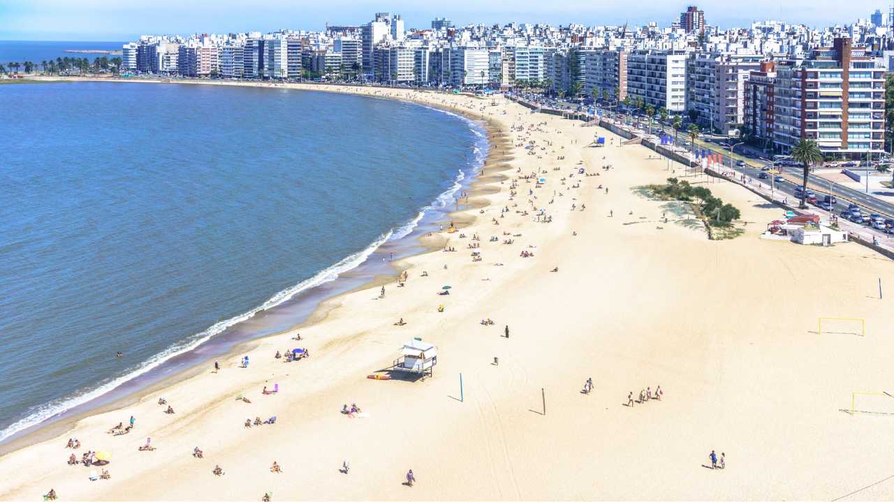 playas habilitadas montevideo guardavidas