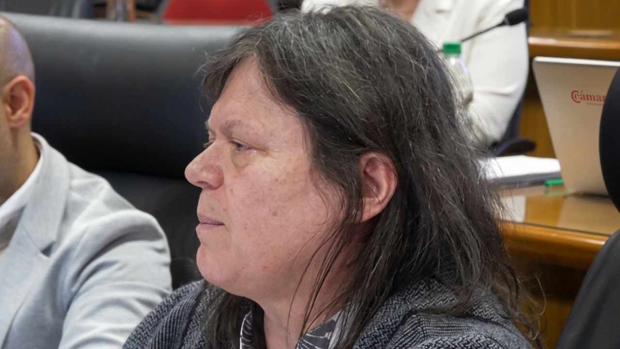 Mónica Ferrero, fiscal de Corte