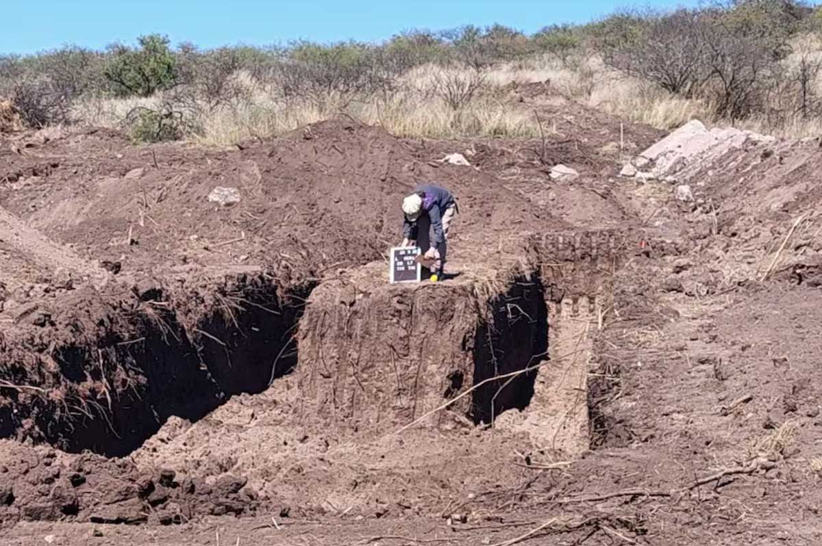 La excavación realizada por los antropólogos.