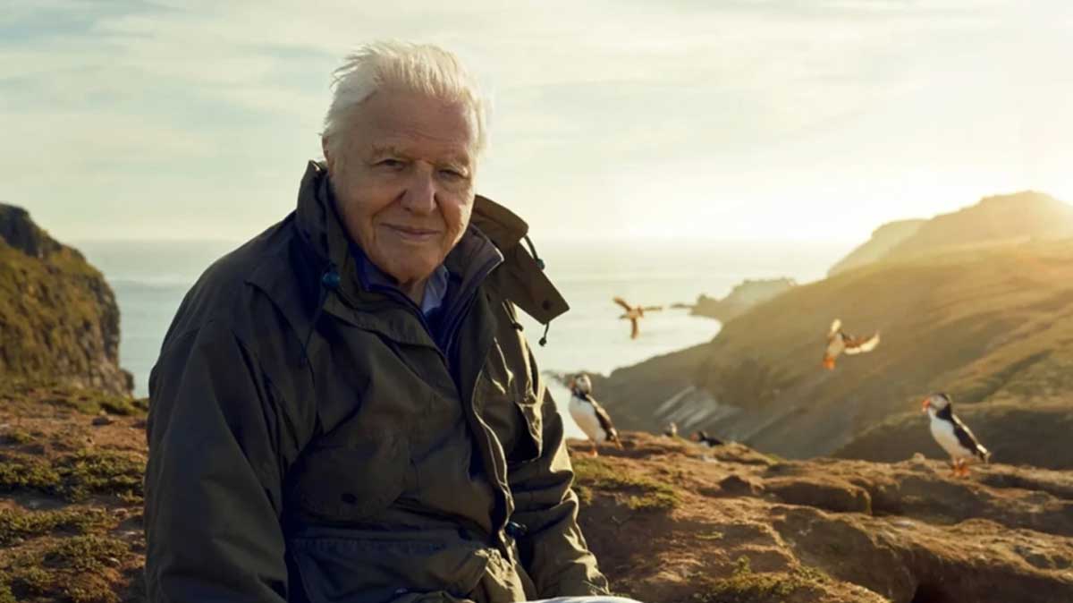 David Attenborough.