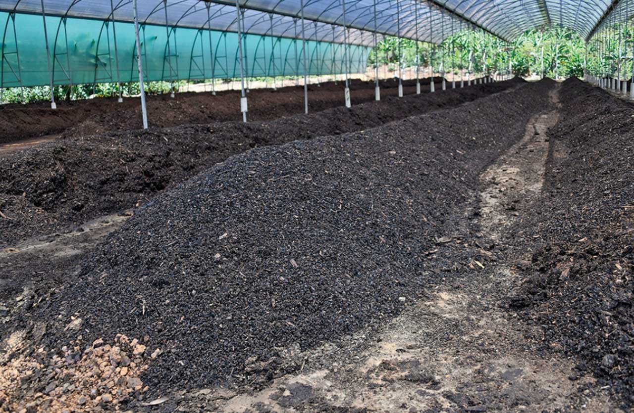 Producción de biocarbón a base de residuos de café en Costa Rica.