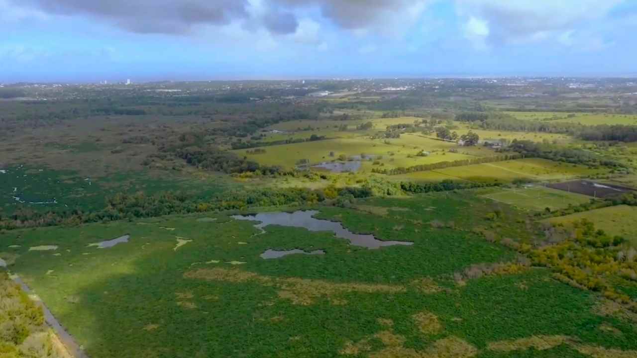 Los Bañados de Carrasco son amenazados por una empresa inmobiliaria, propiedad del argentino Eduardo Costantini
