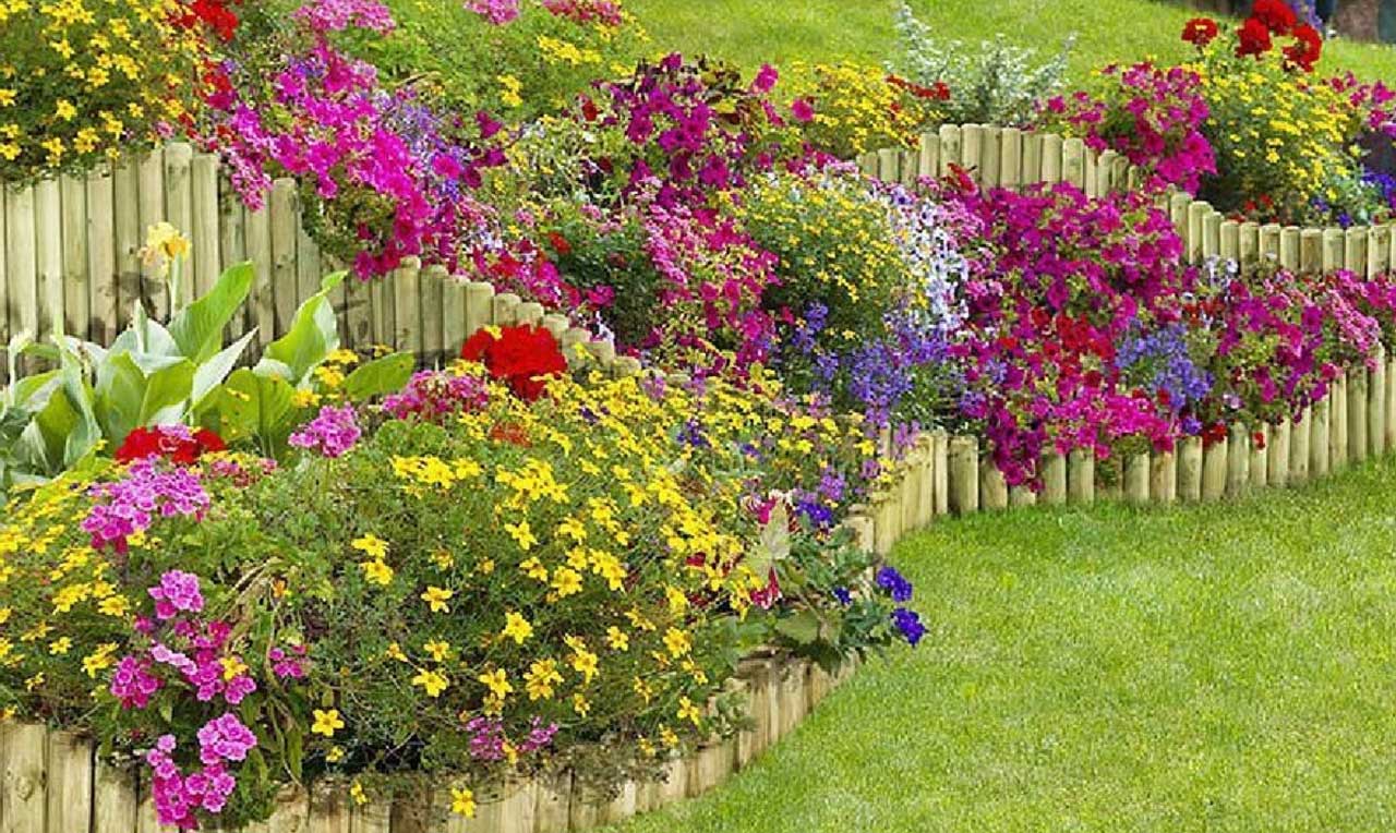 floral-garden