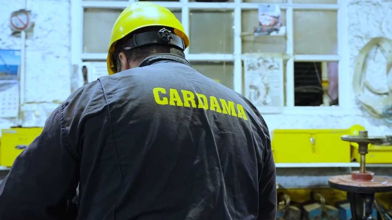 Foto: captura de pantalla de video promocional de Cardama