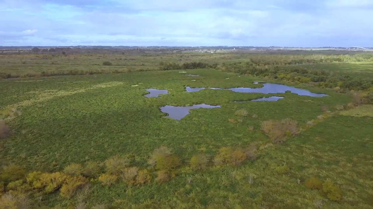 Los bañados de Carrasco están en la mira de desarrolladores inmobiliarios