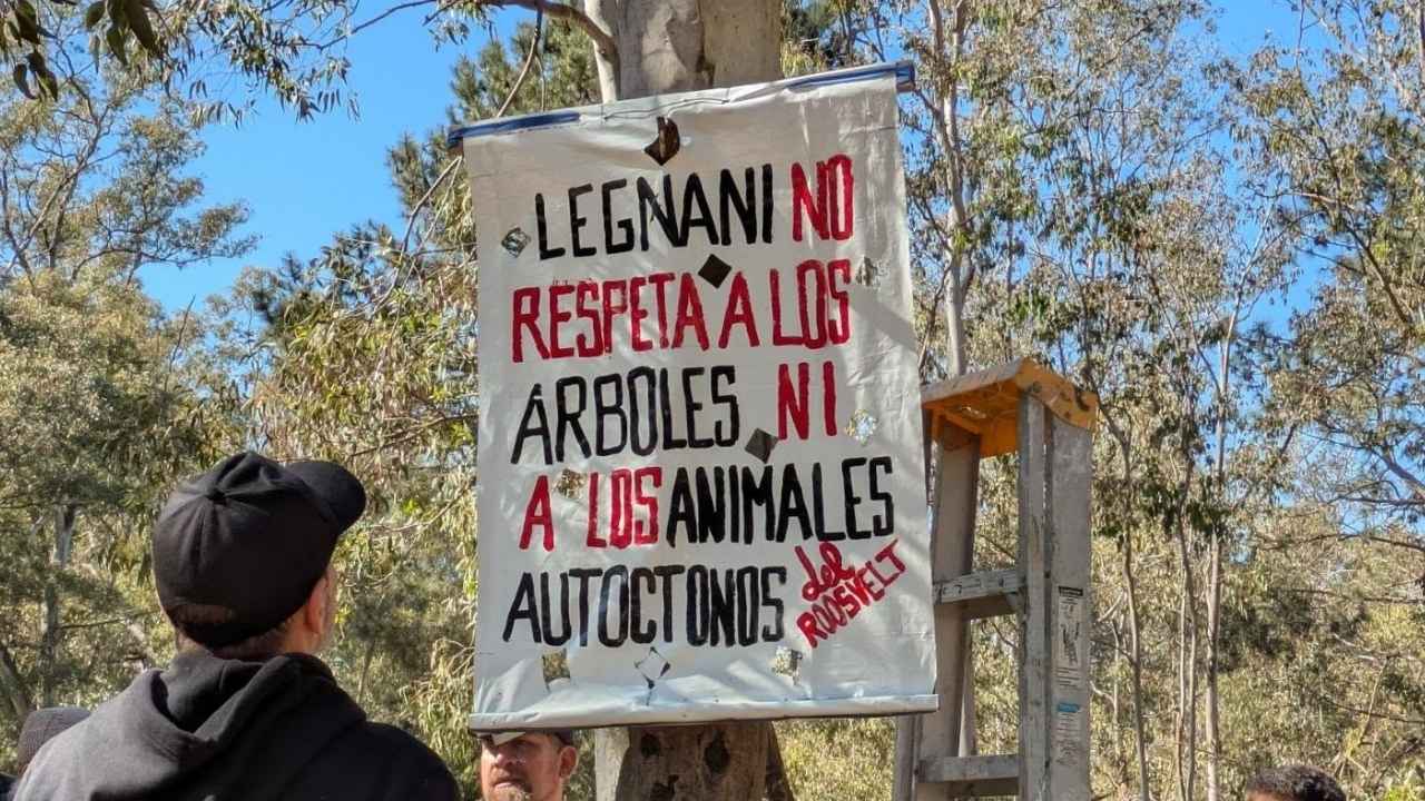 Foto: Un Parque Roosevelt para todos