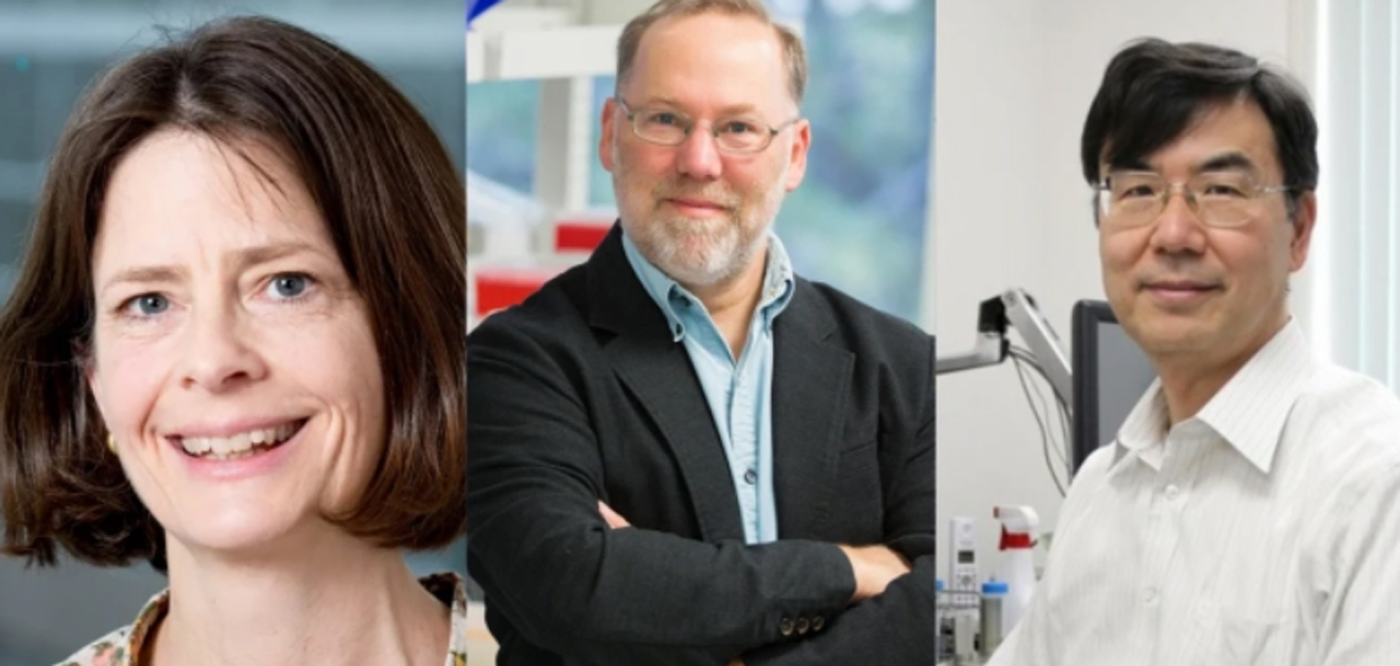 Los tres ganadores del Nobel de Medicina 2025: Mary Brunkow, Fred Ramsdell y Shimon Sakaguchi / Foto: Institute for Systems Biology - Wikimedia Commons - Osaka University