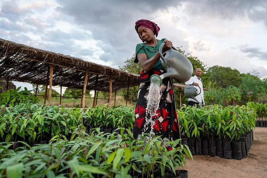 Mujeres en medioambiente.